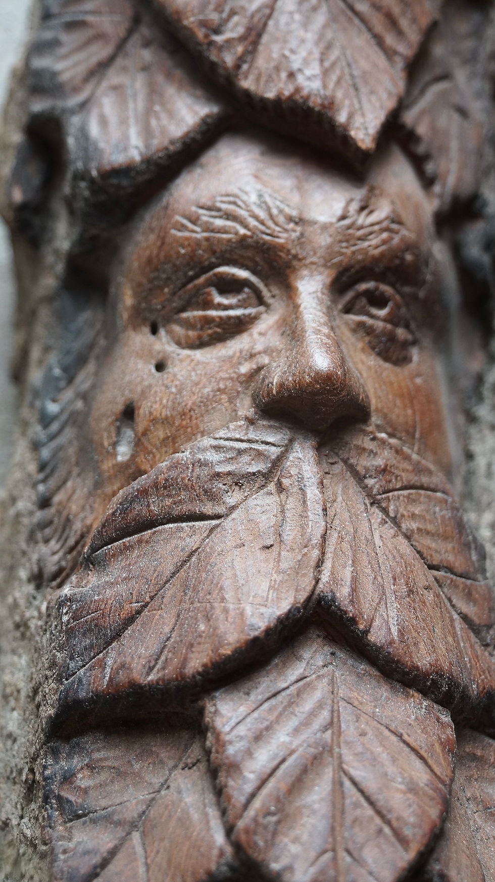 Thumbnail: Chestnut Greenman 