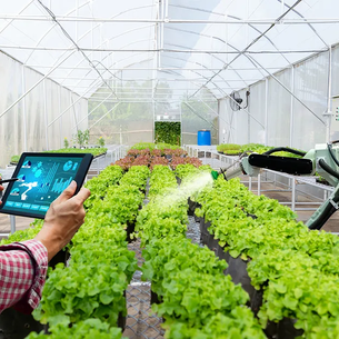 Manajemen Air dalam Pertanian Hortikultura