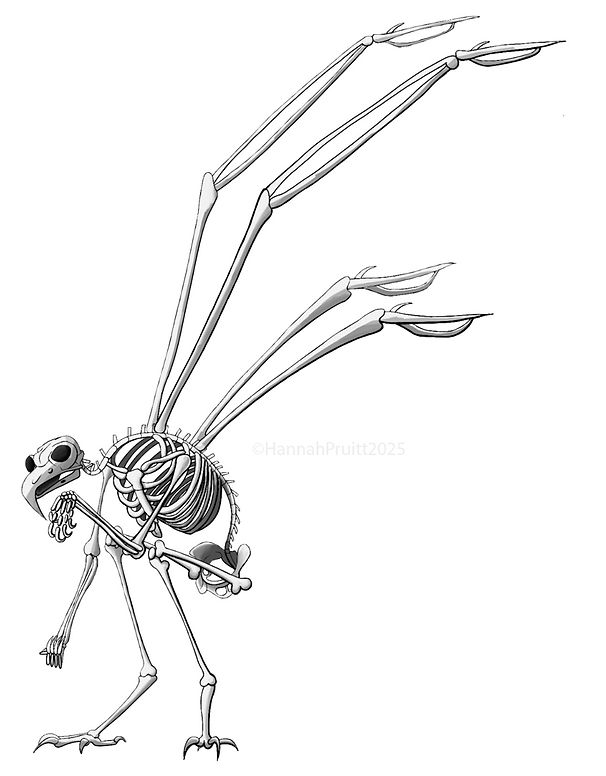 Low Res Mothman Skeleton.jpg