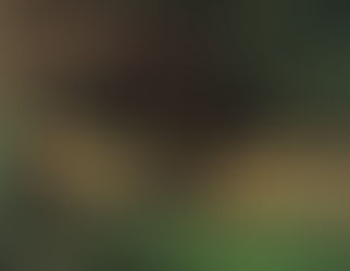 Nell'immagine principale del post è raffigurat "Ofelia" (1851-1852) di John Everett Millais annegata in un ruscello