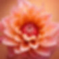 a beautiful flower that looks like a yoni.jpg