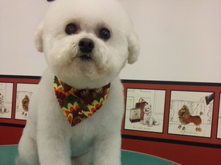 image12.jpeg