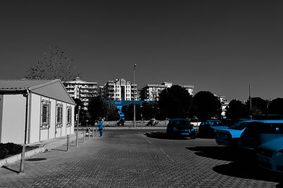 DSC_3772.jpg
