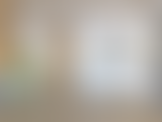 A Look Into A Nature-Inspired Home For Everyone