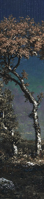birches1.png