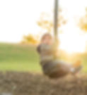 istockphoto-855038394-2048x2048_edited.jpg