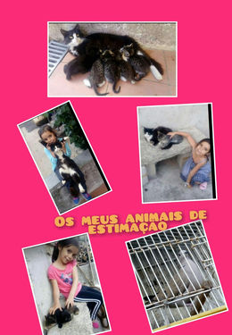 Menina mostra os seus gatos de estimação