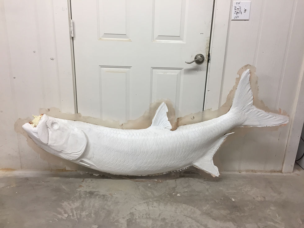 Thumbnail: Tarpon, Page 2