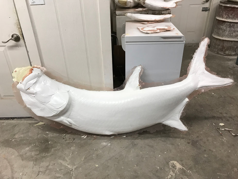 Thumbnail: Tarpon, Page 2