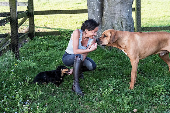 woman-kneeling-in-a-paddock-giving-treats-to-two-d-S94RVQL.jpeg