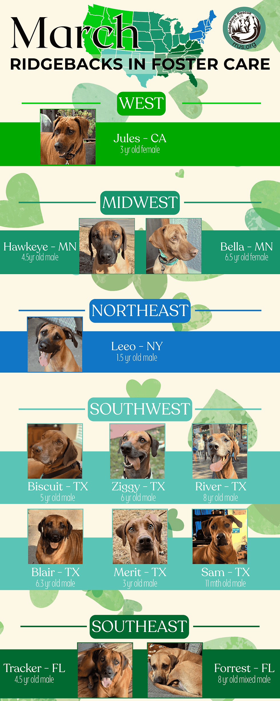 Dogs in Foster Care - April 2026