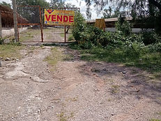 WhatsApp Image 2024-10-14 at 3.08.27 PM (3).jpeg