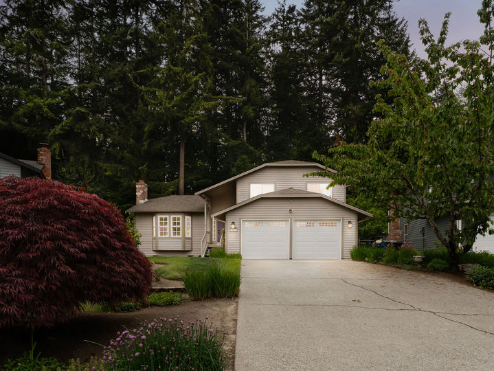 Driveway leading to home nestled among trees in Puget Sound