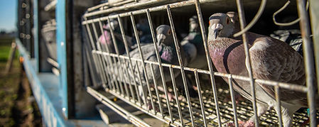 AdobeStock_265403058_1 kl.jpg