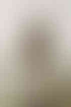 SEZANE - Bonjour Brooklyn