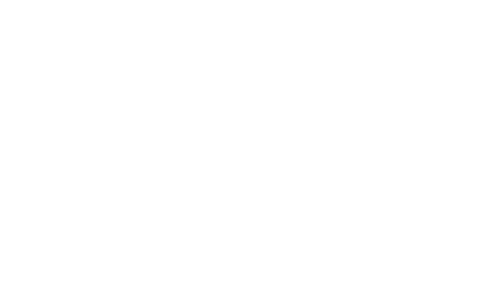 VIADA SERVICES NEW LOGO WHITE.png