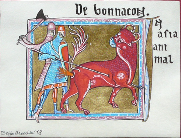 14.bonnacon.png