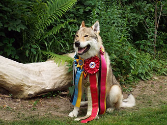 DSCF5728.JPG