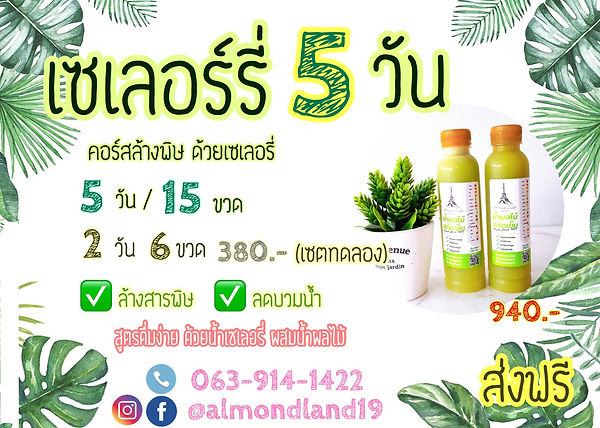 เซอลารี่.jpg