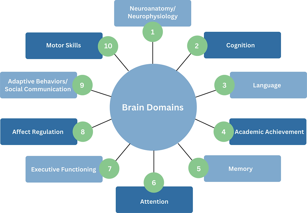 Brain Domains 2025.png