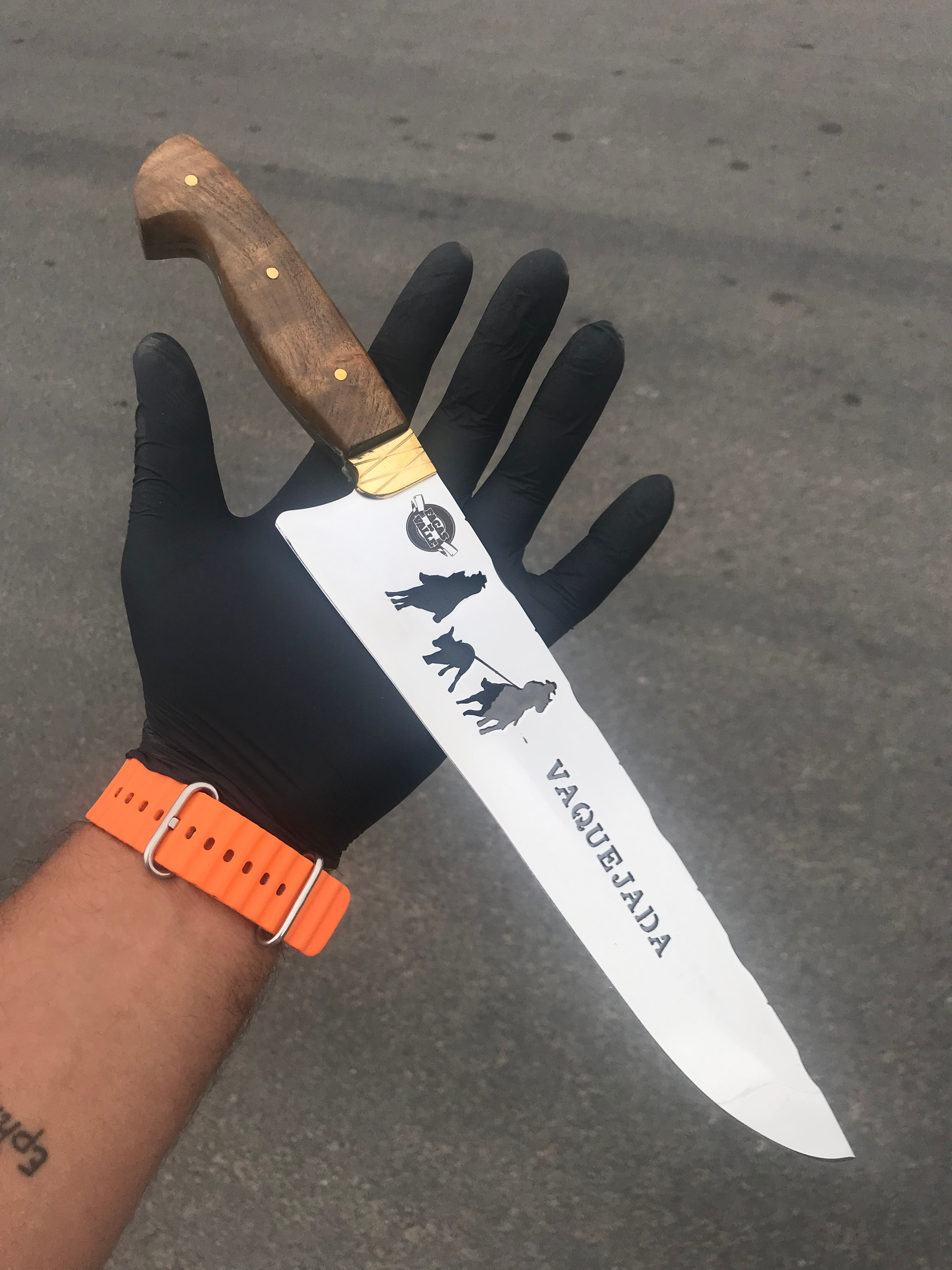 PICANHEIRA VAQUEJADA (Desconto à vista)