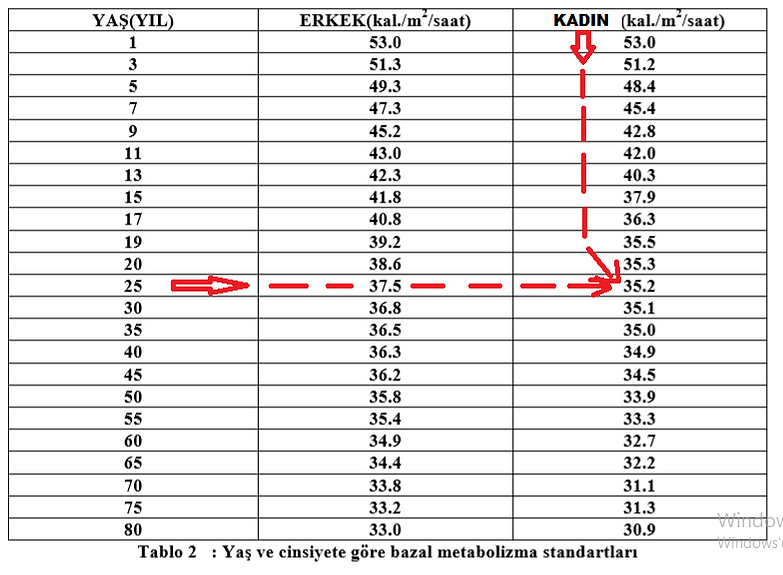 bazal metabolizma tablosu, bazal metabolizma standartları, bazal metabolizma nasıl hesaplanır