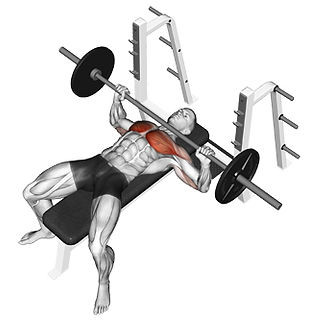 Bench Press, bench press, bench press nasıl ypılır, bench press çalışan kaslr, göğüs egzersizleri, bench press nasıl yapılır