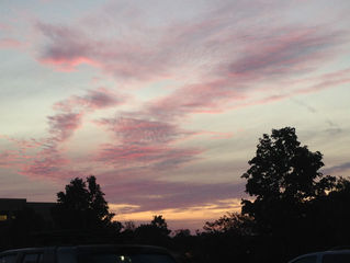 Day 12: The Early Bird Gets into the ER