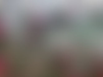 Twittering About Bibliotherapy