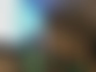 Day 16: Knowing little and learning a lot