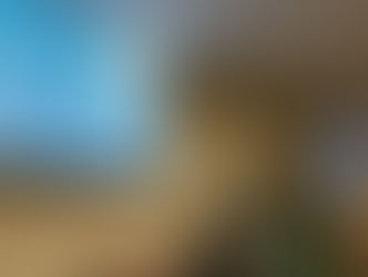 Day 22: So many options but so much time