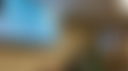 Day 22: So many options but so much time