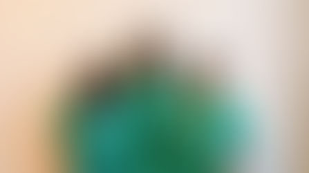 Day 12: The Human Body and All its Wonders