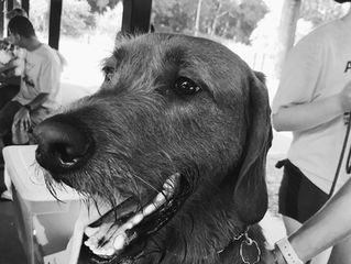 Achilles: Early Morning Run