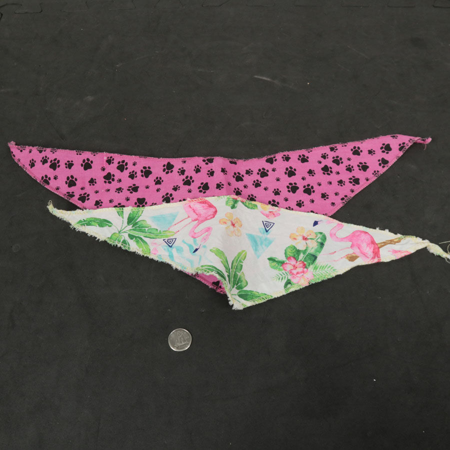 2 foulards pour animaux