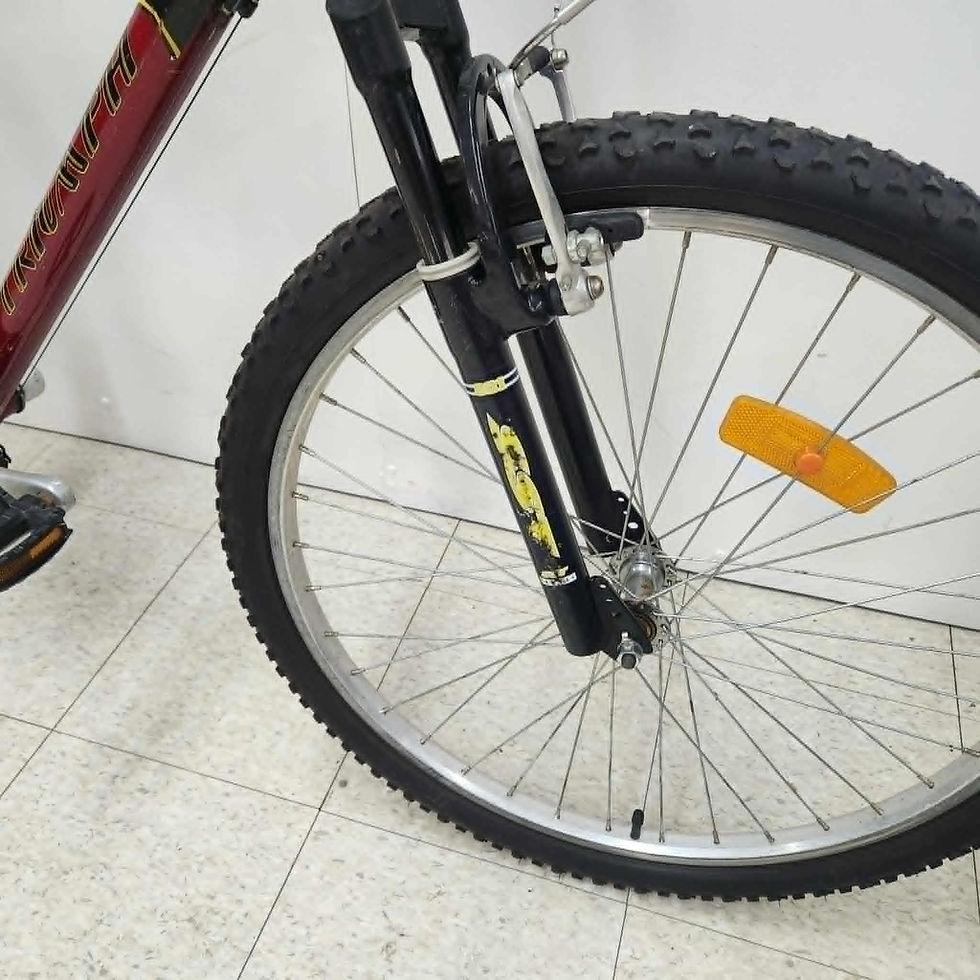 Miniature : Vélo de montagne Frenzy Triumph (roues 26 po)