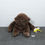 Miniature : Gros toutou gorille