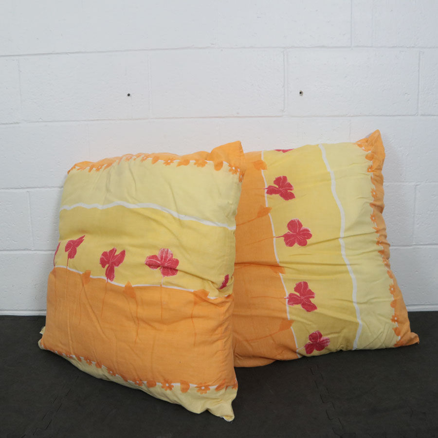 2  grands coussins
