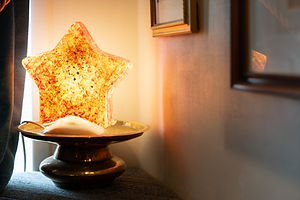 The famous star - Greene king - Stills exports-09272.jpg