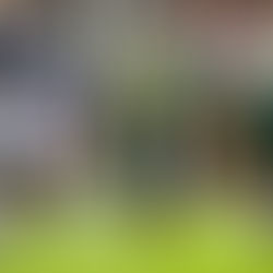 Balls In Your Court Week 2 CFB Picks