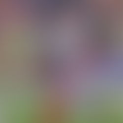 Balls In Your Court Week 4 CFB Picks