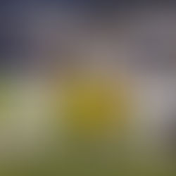 Balls In Your Court Week 6 CFB Picks