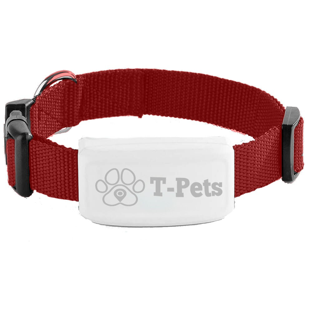 Collar con localizador GPS T1