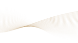Delsa_fond.png
