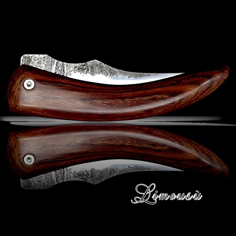 Miniatura: Limousù Cocobolo, Friction 
