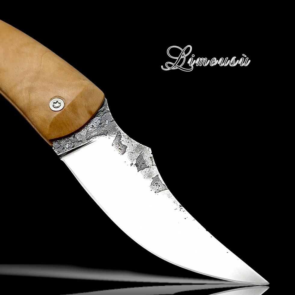 Thumbnail: Limousù Cerisier tourmenté 