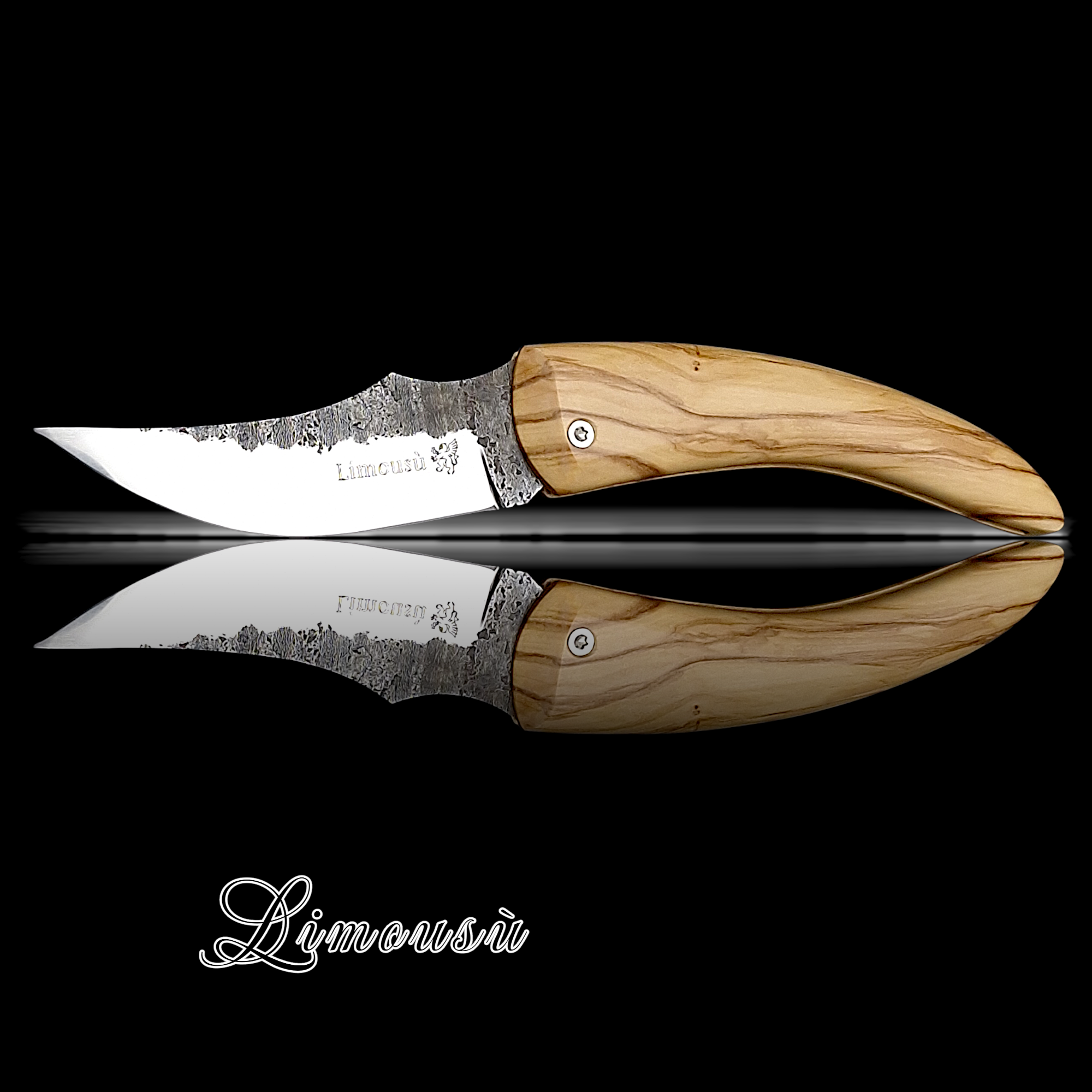 Limousù Olivier, Friction 