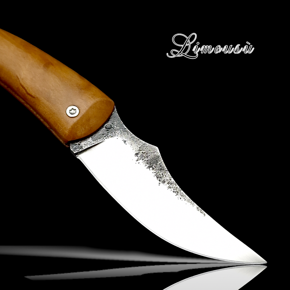 Miniaturbild: Limousù Poirier