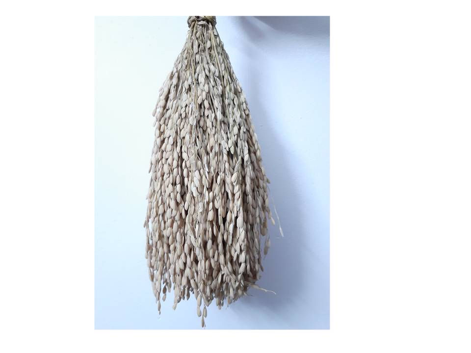 Thumbnail: Hanging Kathirkkula for Home Prosperity | Kerala Traditional Bundle of Paddy |