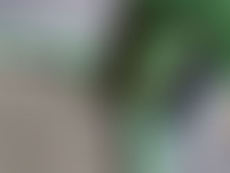 さびてしまったところへのペンキ塗り(塗装)